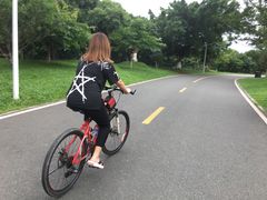 -松山湖南湖湾露营营地