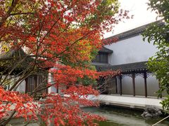 -秋霞圃
