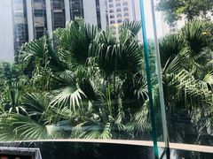 -深圳富苑皇冠假日套房酒店
