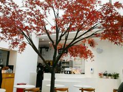 -艾薯夫妇Aysh(福田星河COCOPark店)