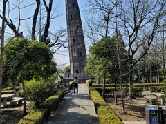 -上海佘山国家森林公园天马山园