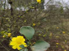 -眉山湿地公园(东坡区)