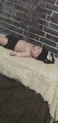 -索菲亚摄影会所