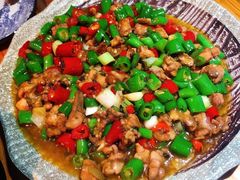 -青城甲(青城山店)