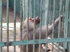 -秦皇岛野生动物园