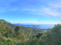 -太平山顶