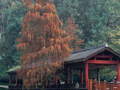 -重庆彩云湖湿地公园