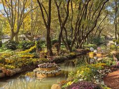 -上海共青森林公园