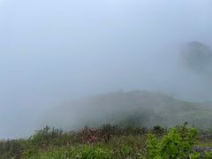 -大围山国家森林公园