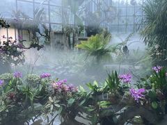 -东莞植物园