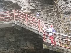 -鹿院坪生态旅游景区