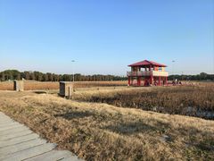 -嘉北郊野公园
