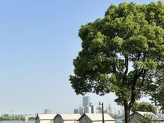 -苏州金鸡湖大酒店
