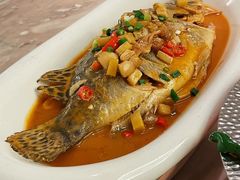 -小菜园新徽菜(阜阳颍州万达店)