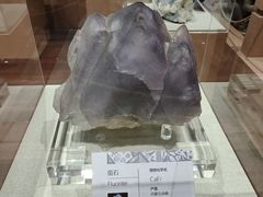 -天津自然博物馆