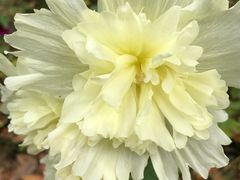 -白塘生态植物园