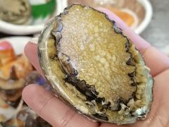 鲍鱼-钱库里海鲜自助(星海广场店)