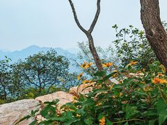 -周口店坡峰岭风景区