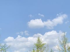 -成都南湖公园