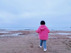 -红碱淖景区