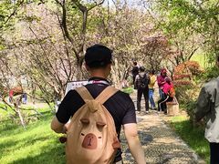 -南京市江宁方山