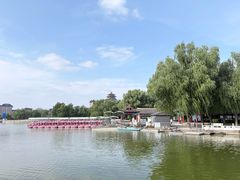 -莲花池公园