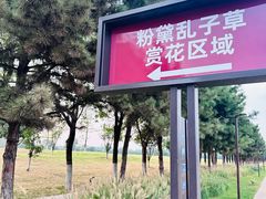 -汉长安城未央宫国家考古遗址公园