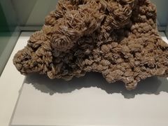 -金钉子远古世界景区
