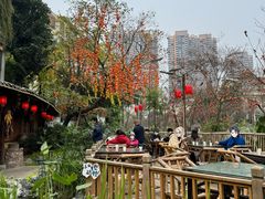 -田园印象·成都土菜院子(华阳店)