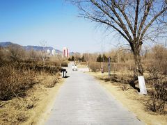 -门城湖公园