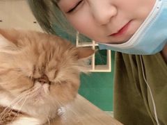 -飞行喵MR PILOT|猫舍·猫咖(静安大融城店)