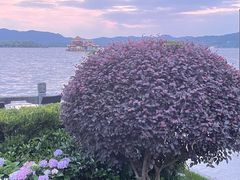 -杭州西湖柳莺里酒店·闻莺厅