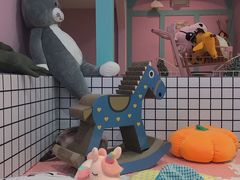 -70cat德文卷毛猫·缅因猫纯种猫舍