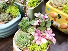 -桃花江餐厅·江景-约会·聚会