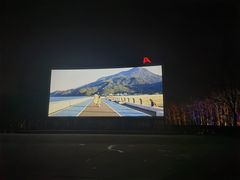 -枫花园汽车电影院(朝阳公园店)