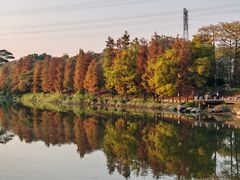 -怡海公园(桂城街道)