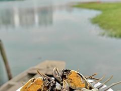 -君豪蟹都·湖景·农家乐(蟹舫苑店)