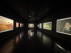 -罗红摄影艺术馆