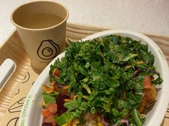 -油梨树 AVOCADO TREE(亮马桥店)