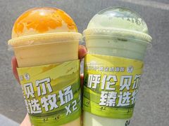 -茉酸奶(春熙路店)