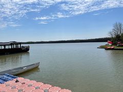 -上海海湾国家森林公园