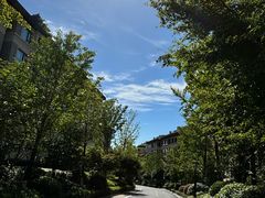 -良渚文化村
