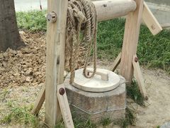 -上海滨江森林公园