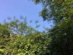 -亚婆田·白水寨生态旅游度假区