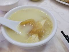 -凤城礼记鱼翅海鲜酒家(新马路总店)