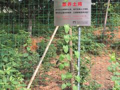 -太湖湾开元名庭大酒店