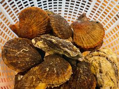-四海蒸鲜蒸汽海鲜自助(北戴河店)