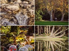 -上海共青森林公园