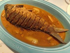 -阿五黄河大鲤鱼(英协路店)