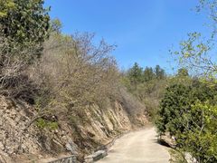 -北京鹫峰国家森林公园